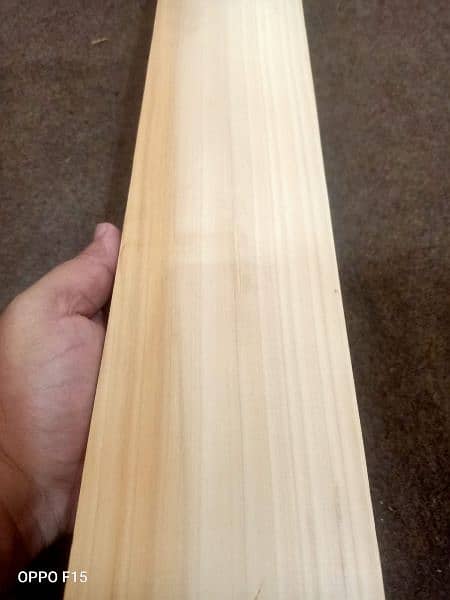 English willow hard ball bat 11