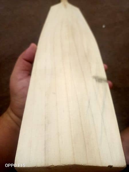 English willow hard ball bat 13