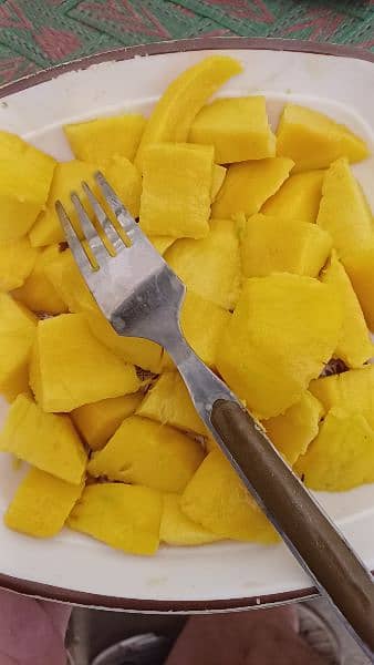 Premium Quality Mango Available! 3