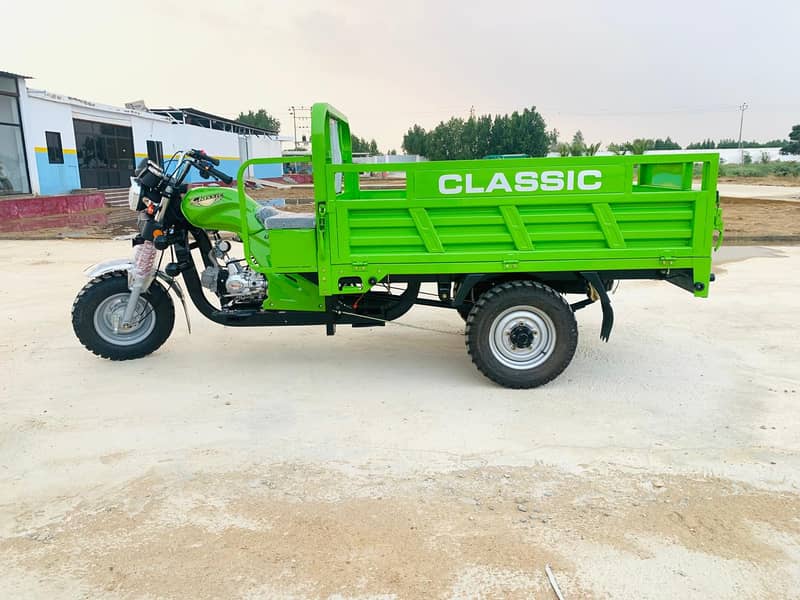 Classic 110cc Chingchi Cargo Loader Rickshaw 7