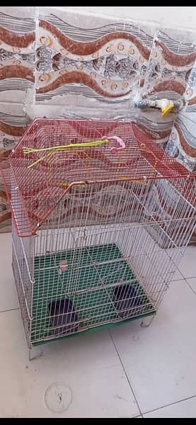 bird cage 4