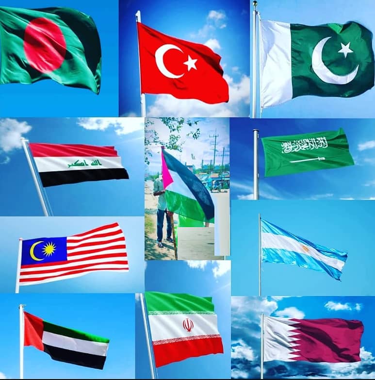 Pakistan Flag & Golden Pole , Country Flags , Table flag , Oudoor flag 17