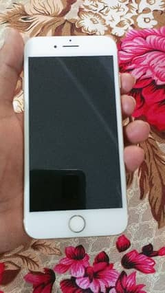 i phone 7 for sell condition new battery health 100 %pta approved 0