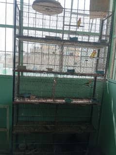 8 portion cage