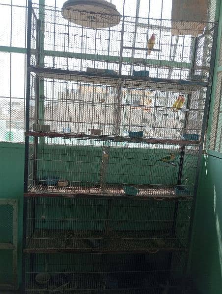 10 portion cage 0