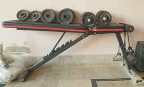 Bench with dumbbells 0