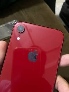 Iphone XR non pta all ok only fone