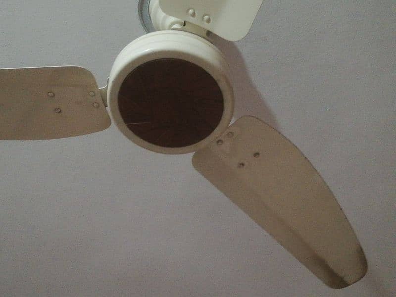 Royal ceiling fan 4 pcs 0