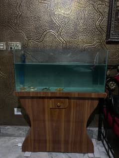 Fish Aquarium For sale (3ft size)