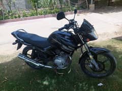 Yamaha YBR 125 2017 For Sale / Total Geniune