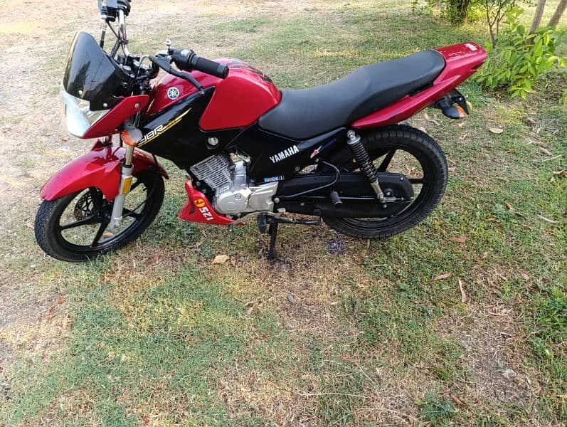 ybr125 1