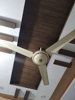 Ceiling fan