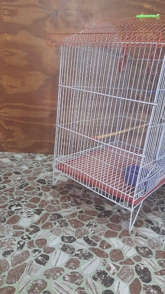 Cage in Jumbo size Zarar Cage 6