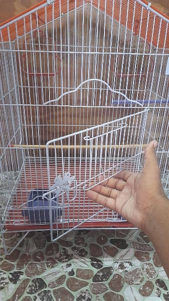Cage in Jumbo size Zarar Cage 7