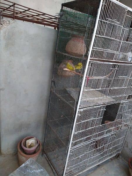 Birds cage and Hen cage 12 portion 1