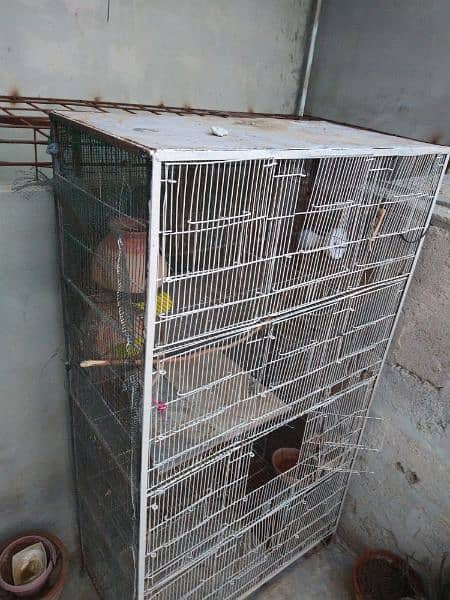 Birds cage and Hen cage 12 portion 2