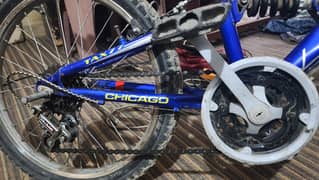 Chicago Bycycle