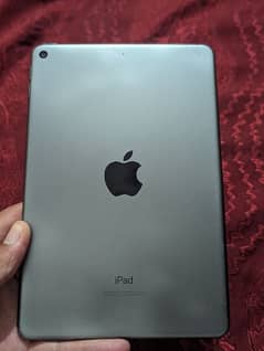 ipad mini 5