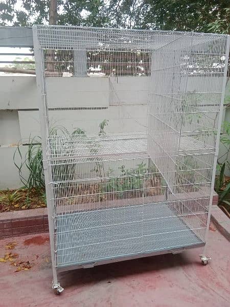 cat's cages 1