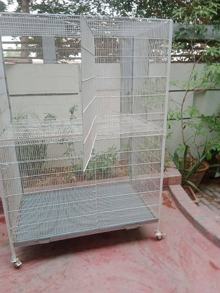 cat's cages 2