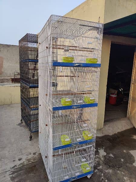 Cages Birds | Cages For Sale 4
