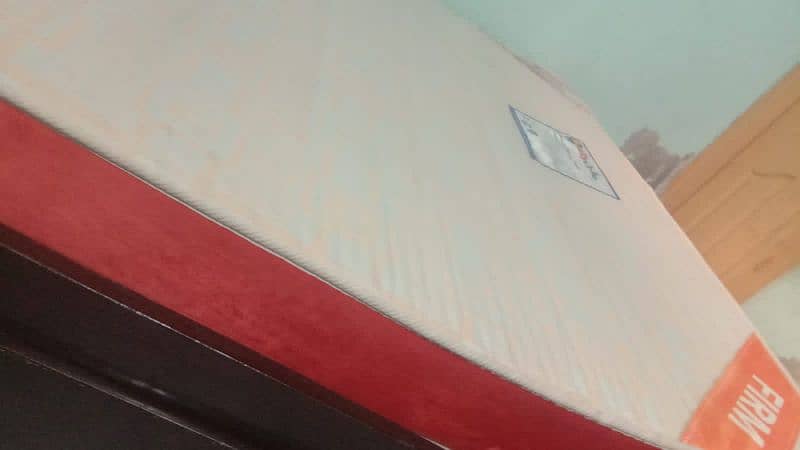 Molty ortho mattress 1