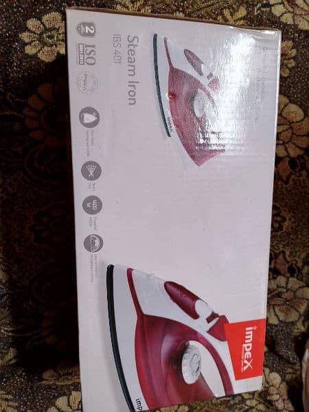 steam shower  iron 1