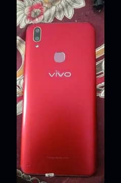 vivo