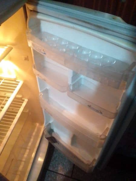 pel medium size fridge 3