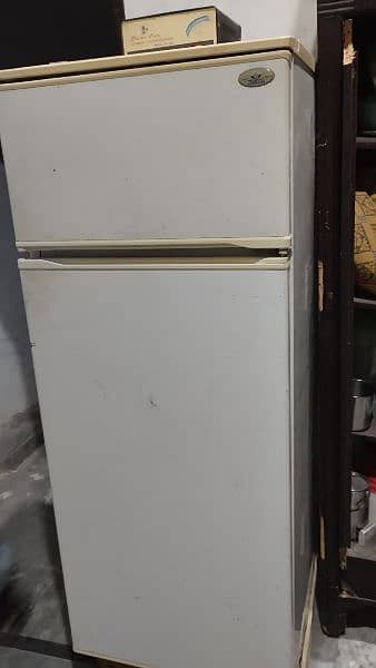 Medium size fridge 2