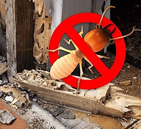 Termite ( Deemak )Proofing Cockroach Rodents Bedbugs Control/Rat/pest 5