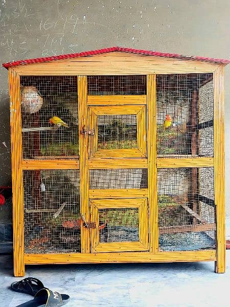 Cage with 2 Parrots FREE 1