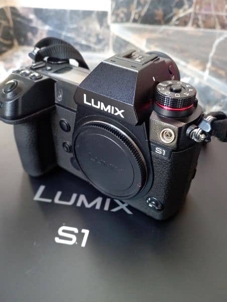 Panasonic Lumix S1 Mirrorless Camera 4