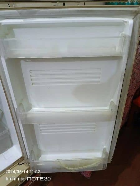 Pel Fridge Refrigerator For Sale 1