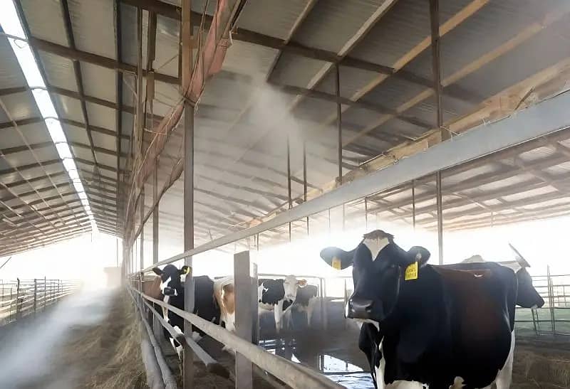 Misting System for cows/Dairy farm Cooling/mist spray/Pets cooling 0