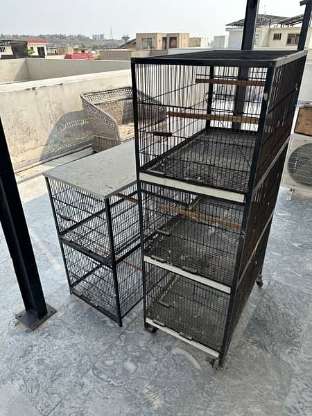 30 X 18 X 18 Cages Available 1