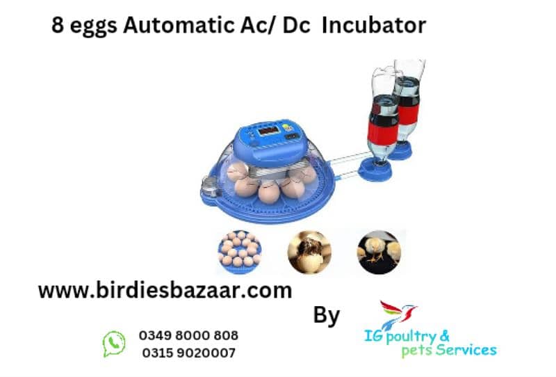 Imported Automatic Incubators 0