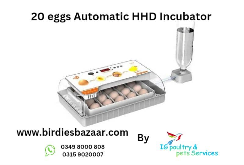 Imported Automatic Incubators 3