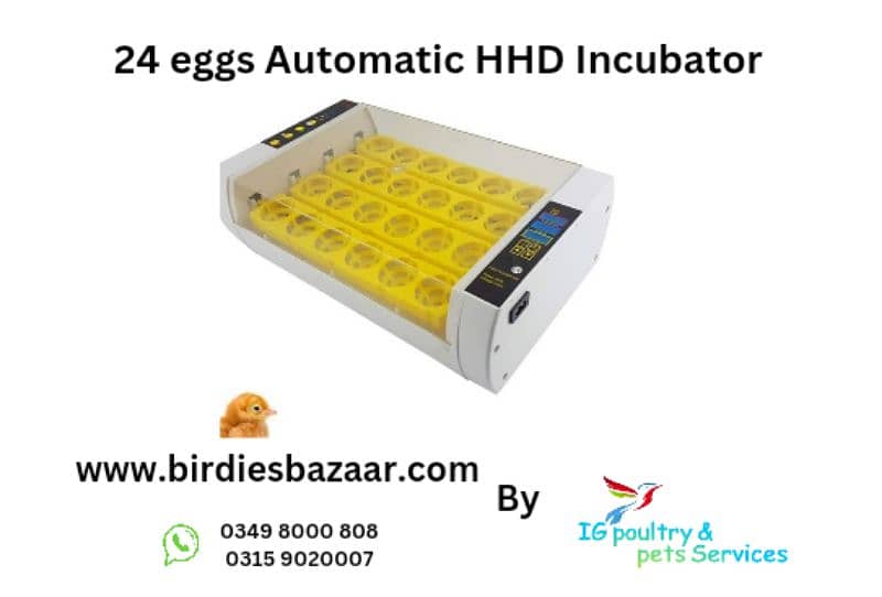 Imported Automatic Incubators 4