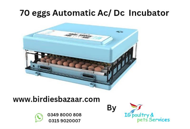 Imported Automatic Incubators 10