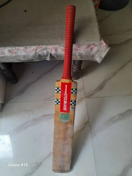 Gray Nicolls bat Kashmir Willow 1