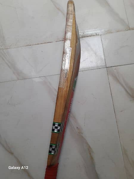 Gray Nicolls bat Kashmir Willow 3