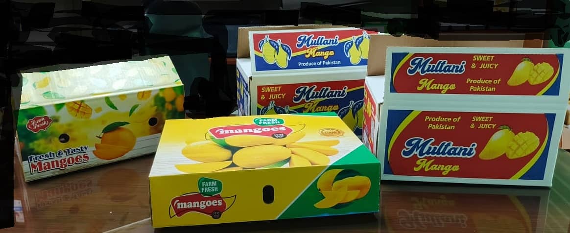 Trading of Multani Mangoes and Packing Cartons 2