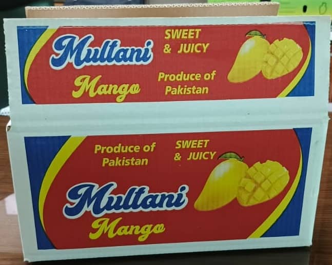Trading of Multani Mangoes and Packing Cartons 5