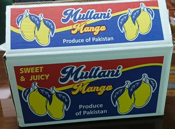 Trading of Multani Mangoes and Packing Cartons 7