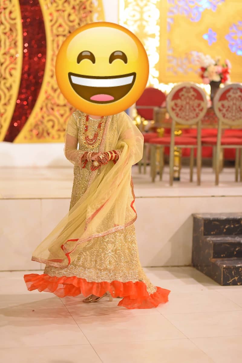 Wedding wear/ party wear/ fancy dress/ saree / ready to wear 4