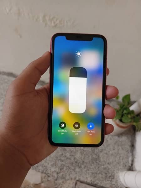 iPhone 11 PTA Approved Physical Dual Sim 1