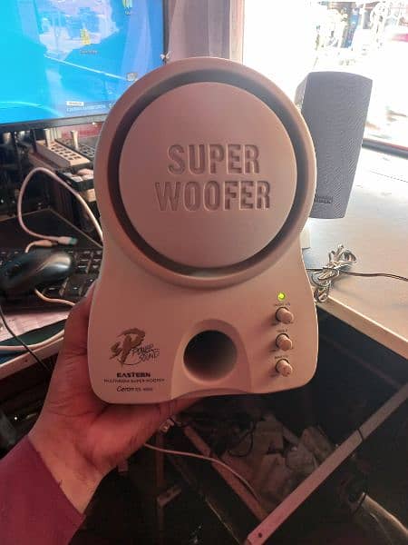computer woofer 4