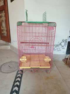 cages for parrots