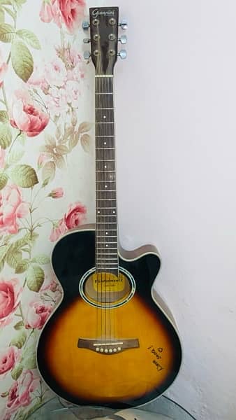 Giannini Acoustic Electric Guitar 0